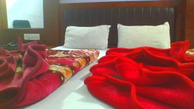 Готель Sahara International Deluxe Нью-Делі Номер фото